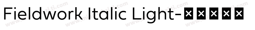 Fieldwork Italic Light字体转换
